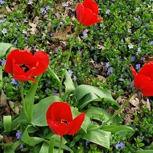 Meet your Posher, Liz